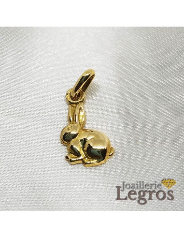 Pendentif Lapin en or jaune 18 carats hantent personnes