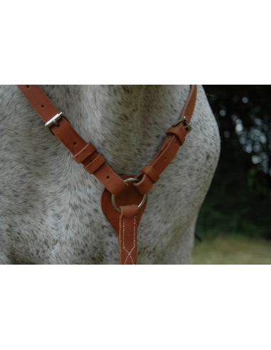 Collier de chasse : Martingale et collier français