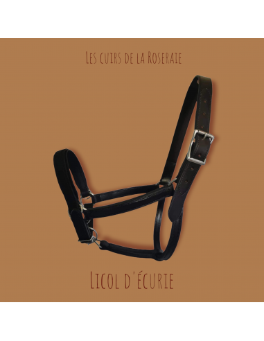 Licol d'écurie Découvrez la collection