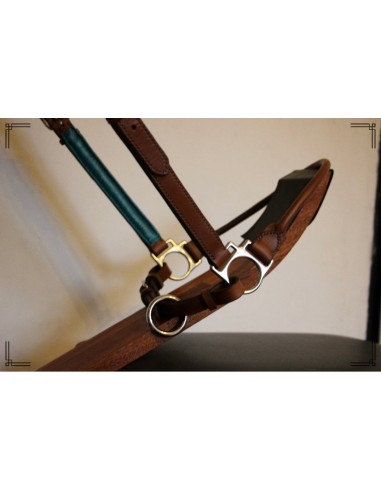 Grooming halter online