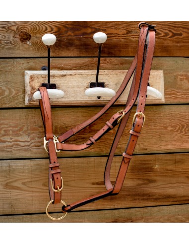 Trail riding halter bridle sur le site 