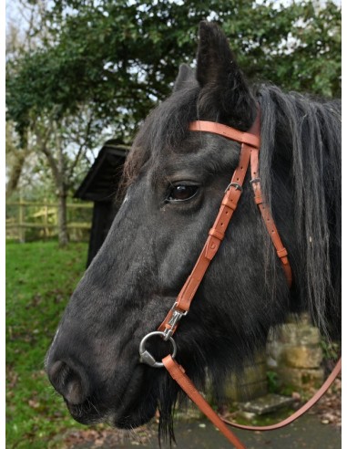 Trail riding bridle basket pas cher