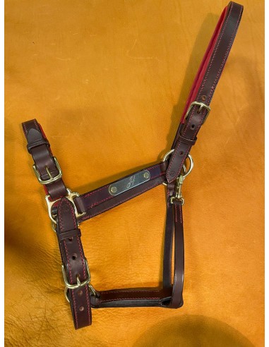 Lined stable halter Amélioration de cerveau avec