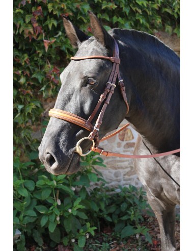 Round-stitched snaffle bridle Economisez 