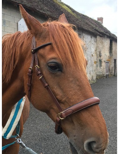 2-in-1 sidepull/snaffle bridle Par le système avancé 