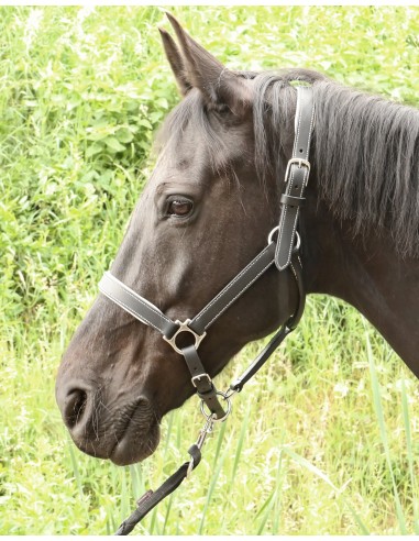 Calfskin lined halter de France