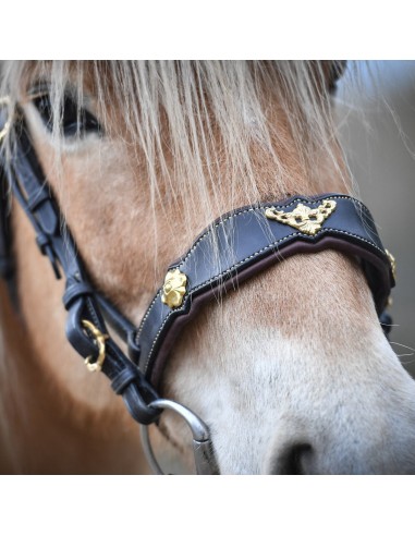 Extremely comfortable luxury Iberian bridle solde