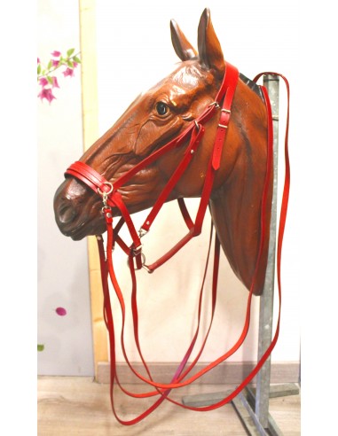 Pack comprising 3-in-1 bridle + Crupper + Hunting breastplate des créatures d'habitude