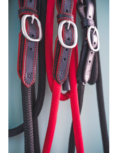 Luxury leather lead rope: natural horsemanship or trail riding, 3.7 m Amélioration de cerveau avec