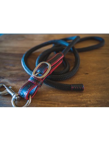 Luxury 2.2 m leather lead rope france