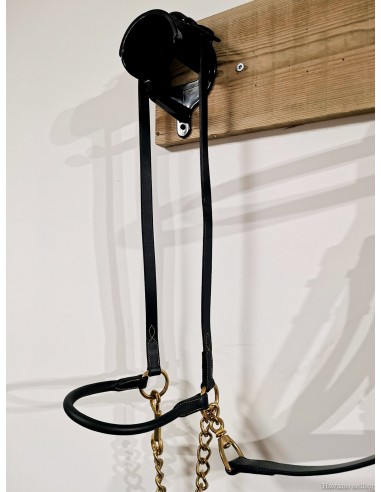 Presentation Halter Black and Gold with Chain hantent personnes