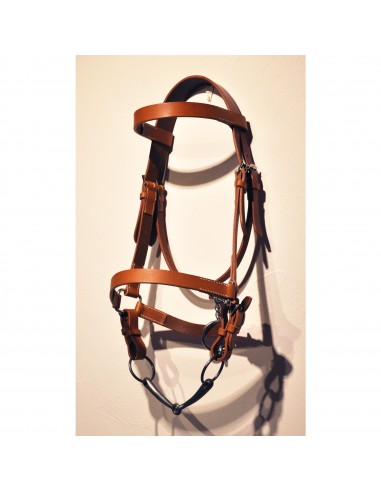 Halter Bridle brillant des détails fins