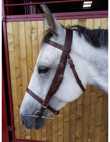 Breaking bridle s'inspire de l'anatomie humaine