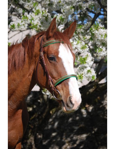 Leather snaffle bridle la livraison gratuite