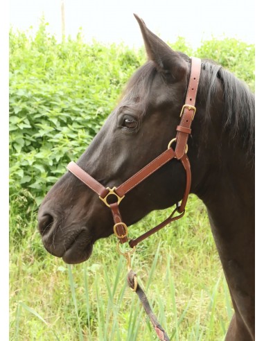 Stable halter france