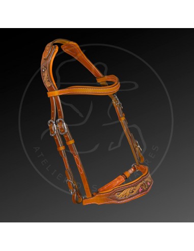 IMLADRIS exceptional dressage snaffle bridle de France