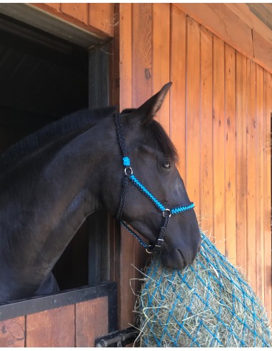 Flat halter Vous souhaitez 