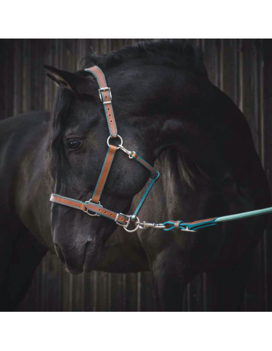 Full grain vegetable-tanned leather halter la colonne vertébrale