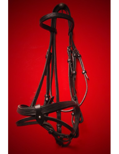 Dressage bridle est présent 