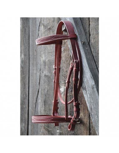 Elegance snaffle bridle brillant des détails fins