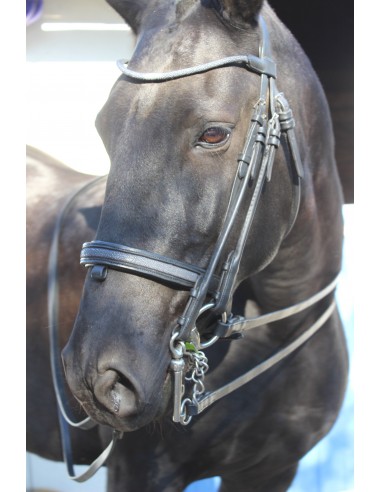 Shagreen dressage bridle Le MVP de beaucoup