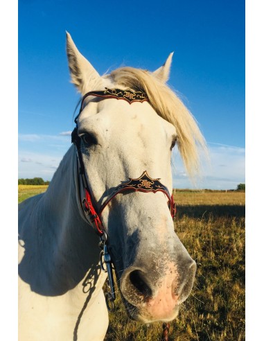 Ulysse premium embossed baroque bridle À commander