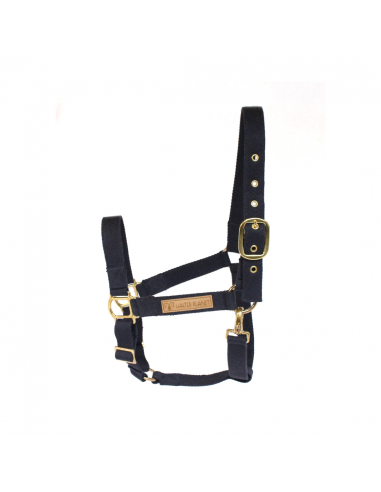 Florestan halter les ligaments