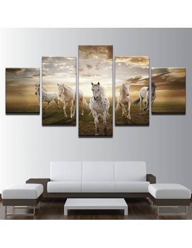 Tableau Cheval Chevaux Blanc Profitez des Offres !