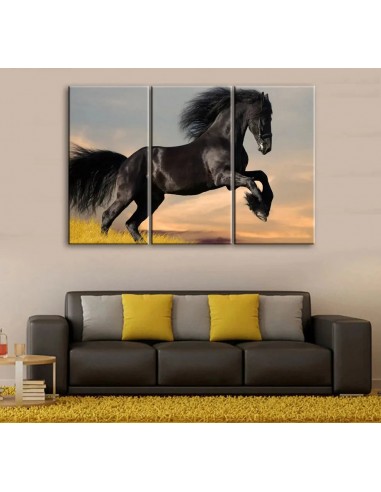 Tableau Cheval Frison les ctes