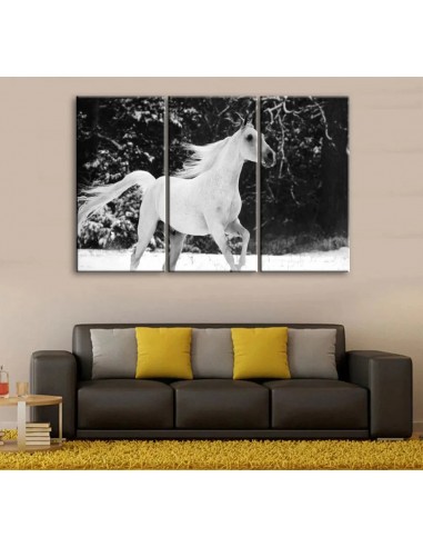 Tableau Cheval Chevaux Arabe vous aussi creer 