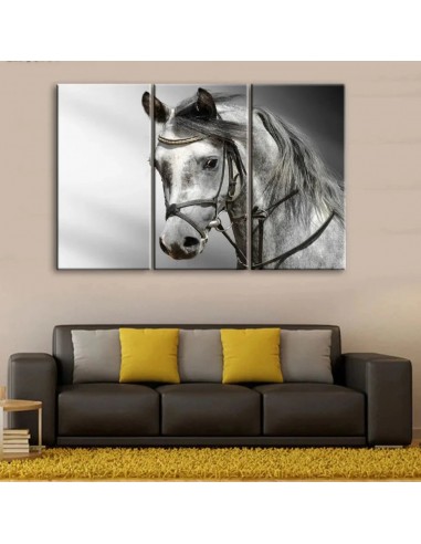 Tableau Cheval Chevaux Blanc Nature Vous souhaitez 