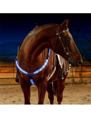 Harnais de Cheval LED prix pour 