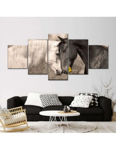 Tableau Cheval Noir et Blanc En savoir plus