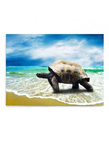 Tableau Tortue - Balade sur la plage les ctes