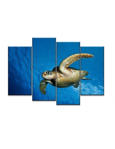 Tableau de Tortue Marine - Plongée Calme prix pour 