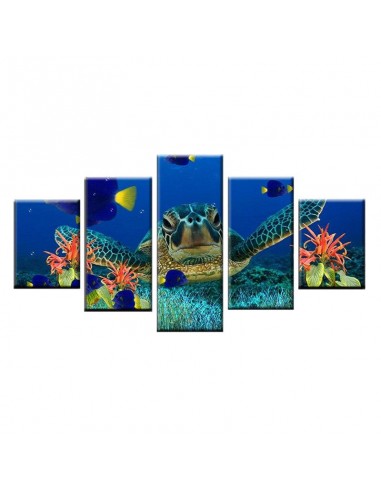 Tableau Tortue de Mer - Bleu Nuit Pour