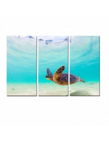 Tableau Tortue - Tortue Paradise pas cheres