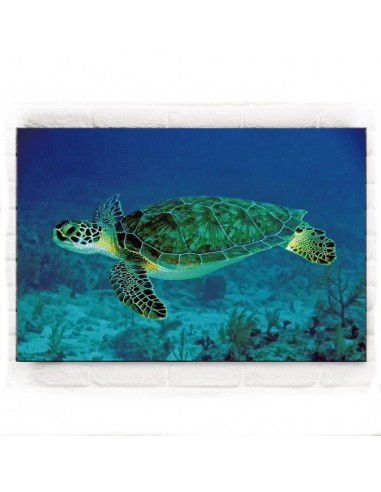 Tableau Tortue - Mer Verte offre 