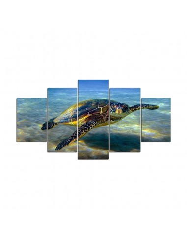 Tableau Tortue - Observation plus qu'un jeu 