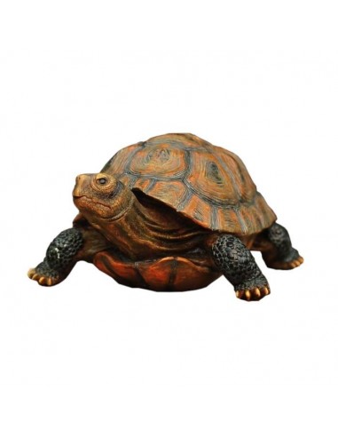 Figurine Tortue Jardin - Chelonia s'inspire de l'anatomie humaine